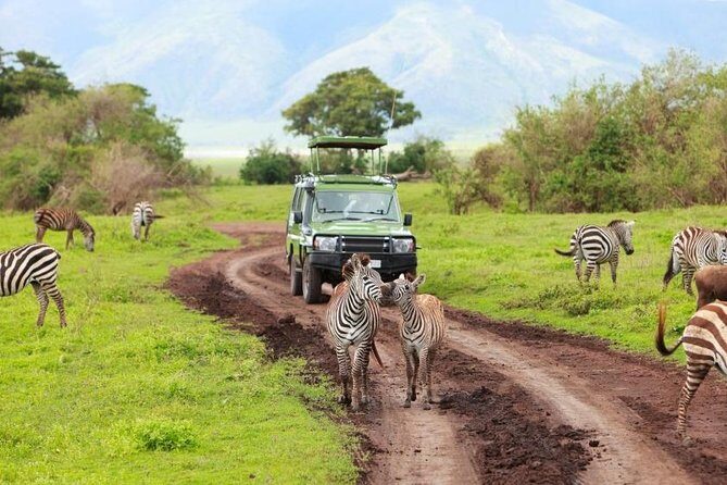 6 Day Tanzania Wildlife Mid range Safari - The Sum Up
