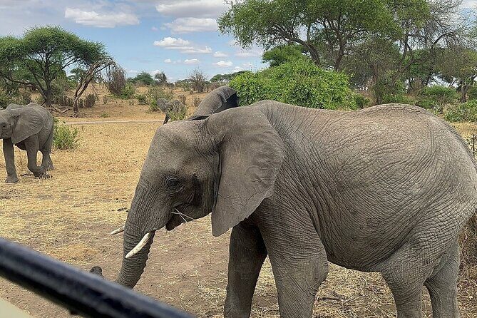6 -Day Tarangire, Manyara, Serengeti & Ngorongoro - Introduction to the 6-Day Tanzanian Safari