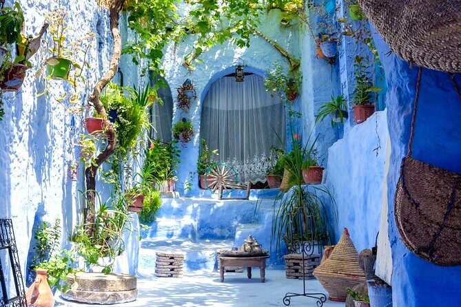 6 Day Tour from Tangier to Chefchaouen Fes and Asilah - Key Points