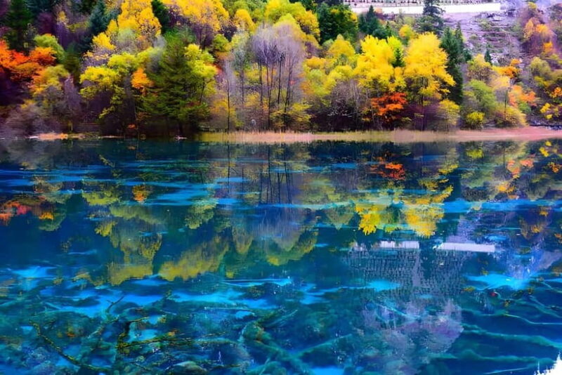 6 Day Tour Including Chengdu, Jiuzhaigou And Dagu Glacier - FAQ