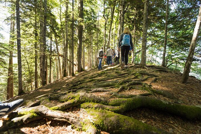 6-day-tour-trekking-rafting-jeep-safari-and-canyoning