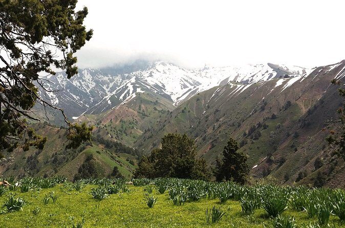 6-Day Trekking Tour: Discover Chimgan, Uzbekistan - Who Is This Tour Best For?