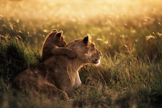 6-Day Unforgettable Tour in Tanzania - FAQ: Your Practical Questions Answered