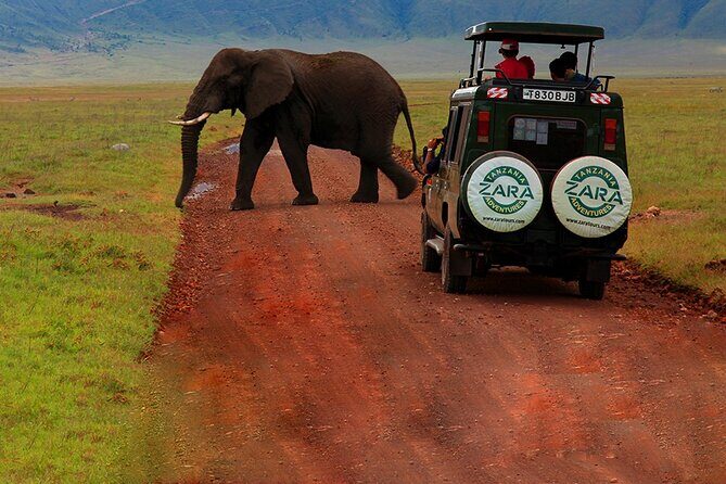 6 Days 5 Night Safari - FAQ