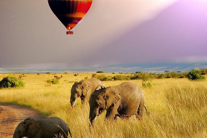 6 Days /5 Nights Adventure in Masai Mara,Lake Nakuru, Amboseli - The Sum Up