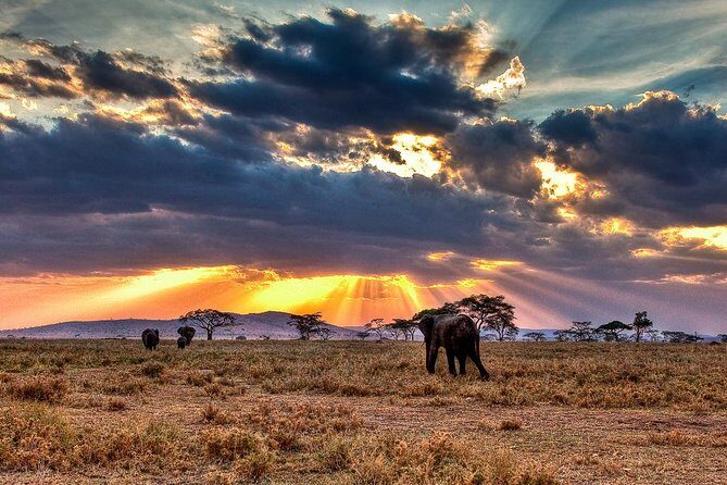 6 Days / 5 Nights Join group safari - Key Points