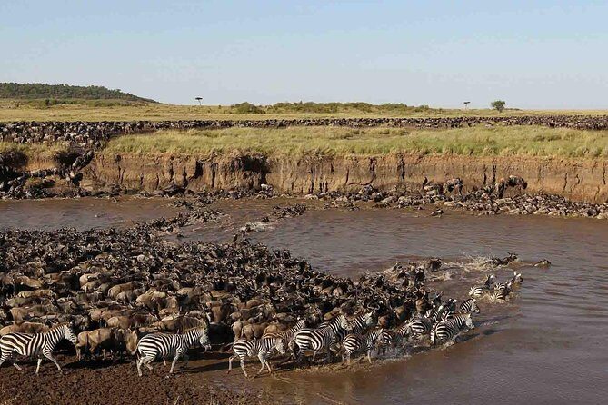 6 Days / 5 Nights Join group safari - Analyzing the Safari Itinerary: What to Expect