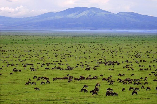 6 Days / 5 Nights Join group safari - Who Should Consider This Safari?