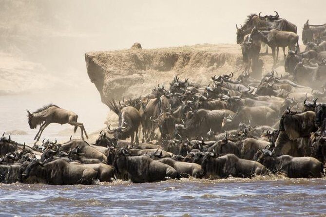 6 Days 5 Nights lodge safari Tarangire, Manyara, Serengeti & Ngorongoro Crater - Key Points