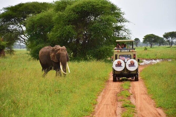 6 days 5 nights safari Ngorongoro, Serengeti and Tarangire National Parks - Who Will Love This Safari?