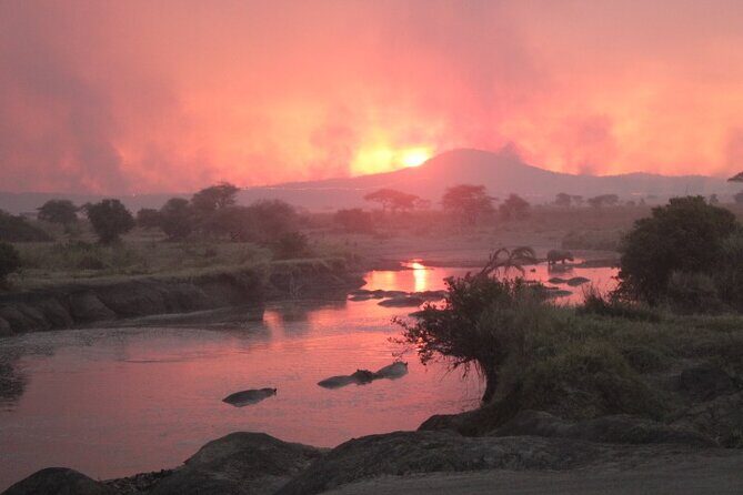 6 Days Adventure Towards Serengeti, Ngorongoro and Tarangire - What Makes This Safari Stand Out?