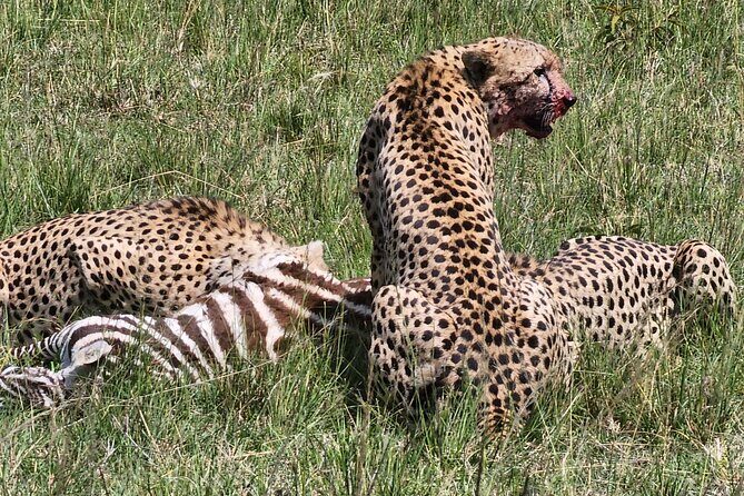 6 Days Amboseli, Lake Naivasha and Masai Mara Adventure - Day 1: Welcome to Amboseli National Park