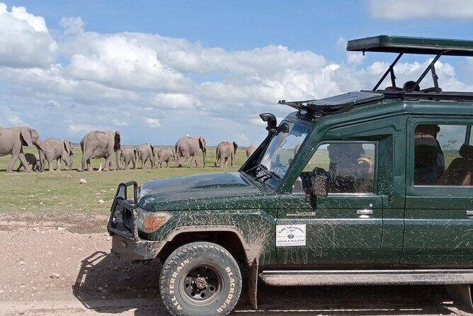 6 Days Amboseli,Lake Naivasha and Masai Mara Safari - An Overview of the Tour