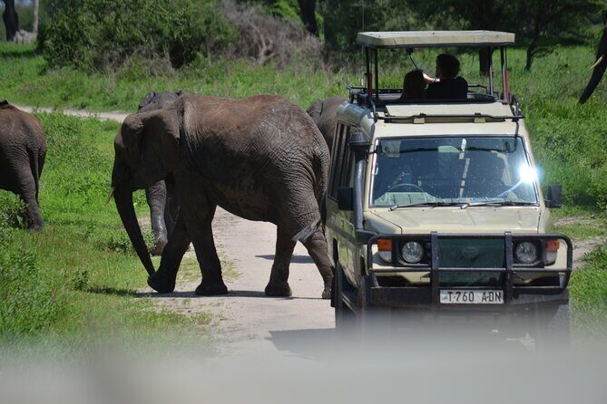 6 Days best adventure kilimanjaro ,Tarangire ,Serengeti &Ngorongoro crater - Introduction: Why This Tour Stands Out