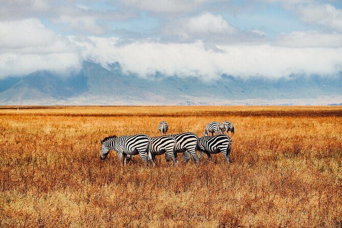 6 Days best of kenya safaris Maasai Mara-Lake Nakuru Amboseli National Park - FAQs