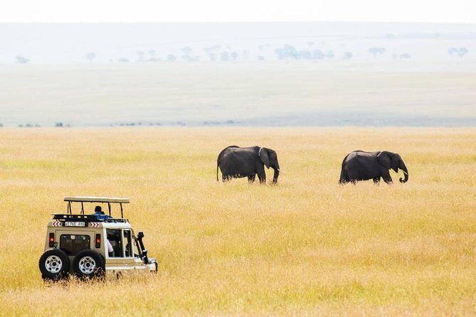 6 Days Budget Tanzania Camping Safari - What to Expect on This Safari