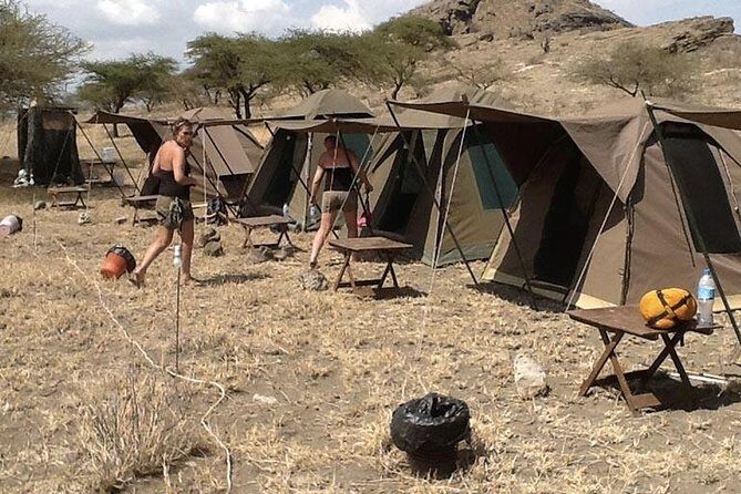 6 Days Budget Tanzania Camping Safari - Practical Aspects and Considerations