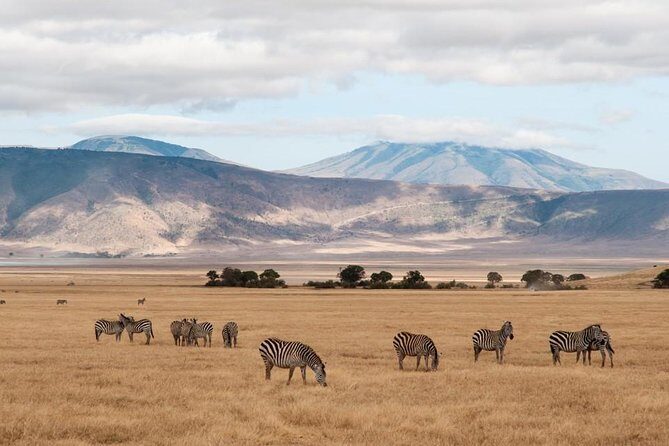 6 Days Budget Tanzania Camping Safari - FAQ