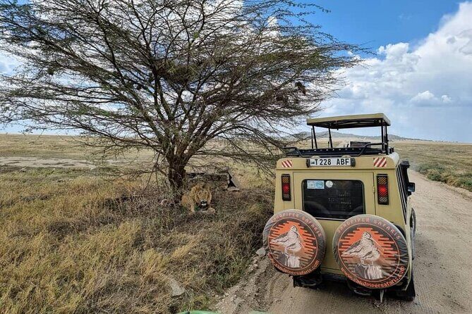 6 Days Budget Tour in Tarangire, Serengeti ,Ngorongoro and Manyara - Key Points