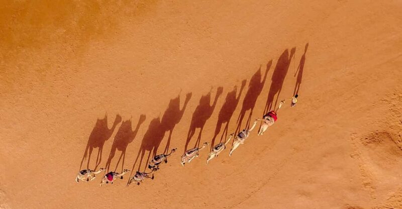 6-Days Casablanca to Marrakesh via Desert, Fez & Chefchaouen - What Makes This Tour Valuable?