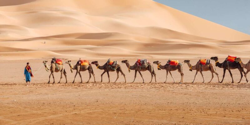 6-Days Casablanca to Marrakesh via Desert, Fez & Chefchaouen - FAQ