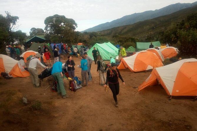 6 Days Climb Kilimanjaro Through Marangu Route - Key Points
