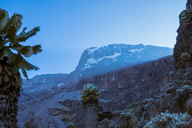 6 Days Climb Private Tour in Mount Kilimanjaro - FAQ