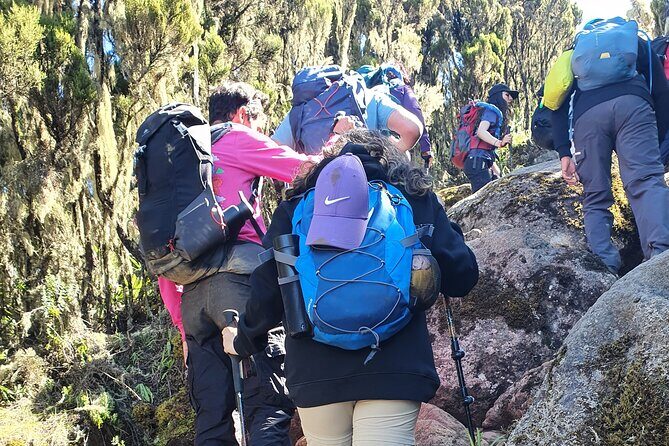 6 Days Climbing Mount Kilimanjaro Machame Route - Day 4: Steep Climb to Barafu Hut Camp