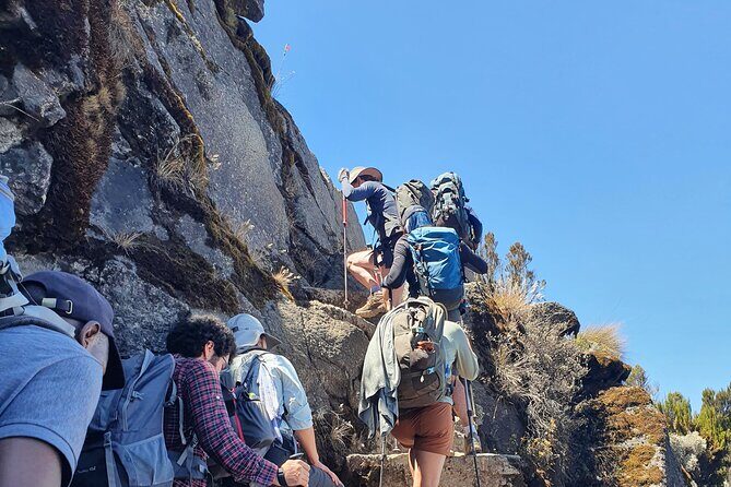6 Days Climbing Mount Kilimanjaro Machame Route - Day 5: The Final Push to Uhuru Peak
