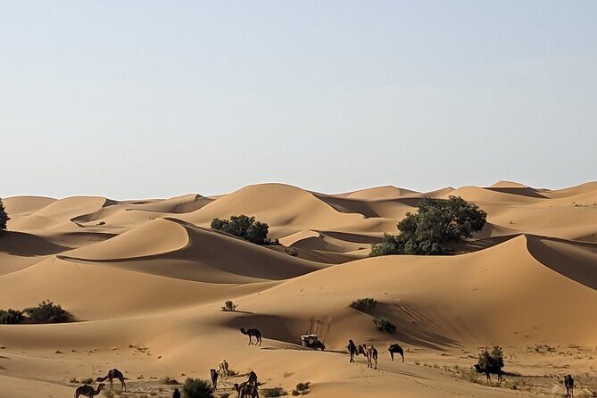 6 Days Desert Tour From Marrakech To Fes Via Merzouga Desert . - Exploring the Itinerary in Detail