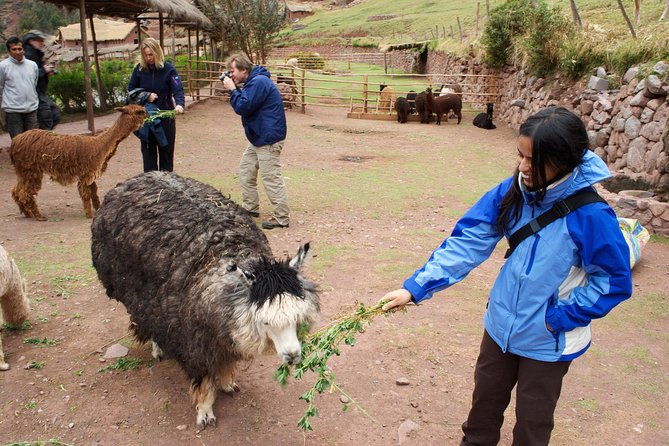 6-days-exploring-cusco-sacred-valley-machu-picchu