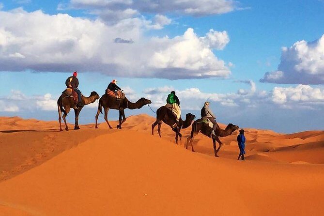 6 Days: From Casablanca Morocco Desert - Who Is This Tour Best For?