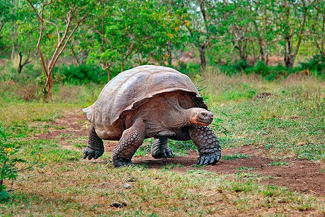 6-days-galapagos-island-hopping