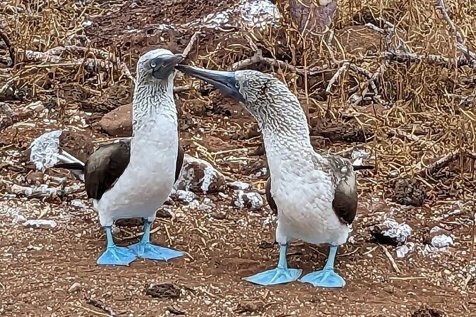 6-days-galapagos-island-hopping
