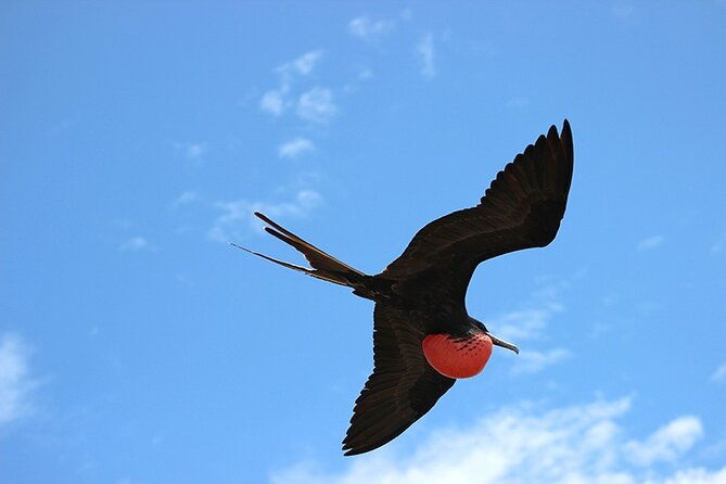 6-days-galapagos-island-hopping