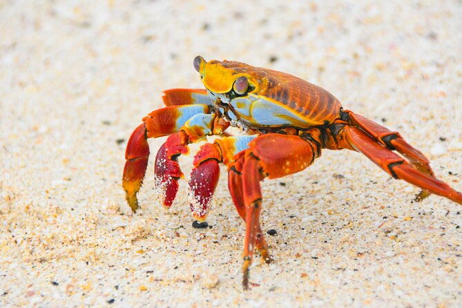 6-days-galapagos-island-hopping