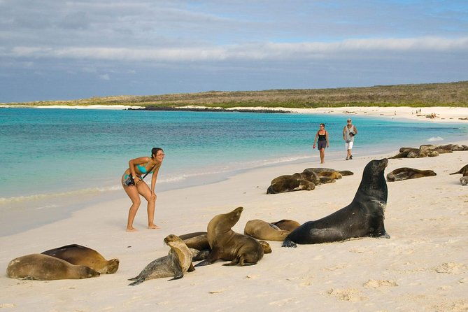 6-days-galapagos-land-tour-starting-in-san-cristobal-island-including-santa-cruz