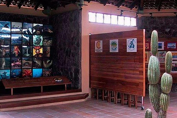 6-days-galapagos-land-tour-starting-in-san-cristobal-island-including-santa-cruz