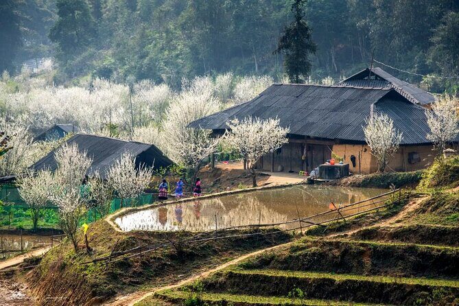 6 Days Glimpse of Northern Vietnam - Final Thoughts