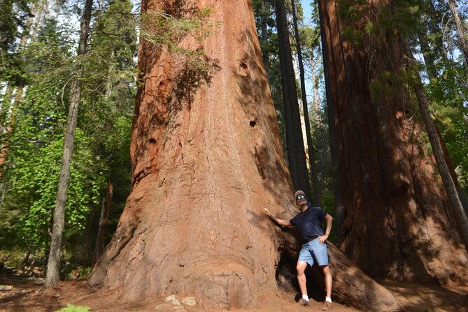 6-days-golden-west-and-utah-parks