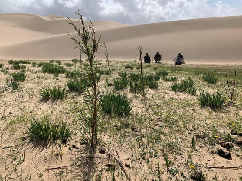 6 Days Great Gobi tour-Amazing memory - The Sum Up