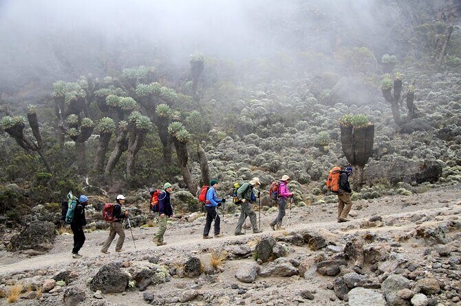 6 Days: Hiking Kilimanjaro via Machame Route - FAQs
