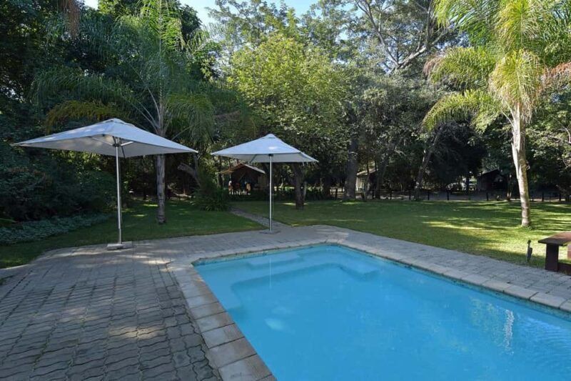 6 Days Idyllic Zambezi Fishing Safari at Mubala Camp - Final Thoughts  