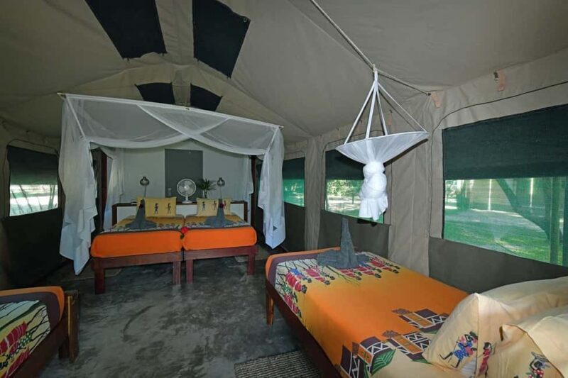 6 Days Idyllic Zambezi Fishing Safari at Mubala Camp - FAQ  