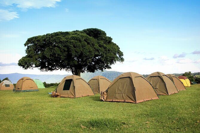 6 Days in the Wild  A Budget Safari Across Tanzanias Icons - Key Points  