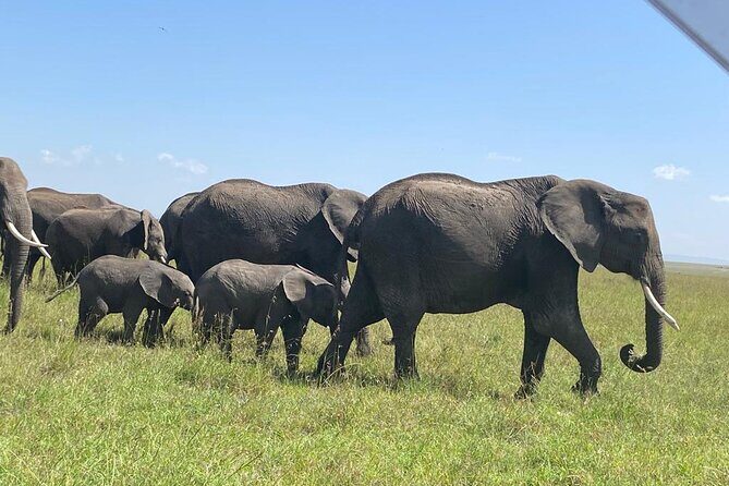 6 Days Kenya Budget Group Safari - FAQ