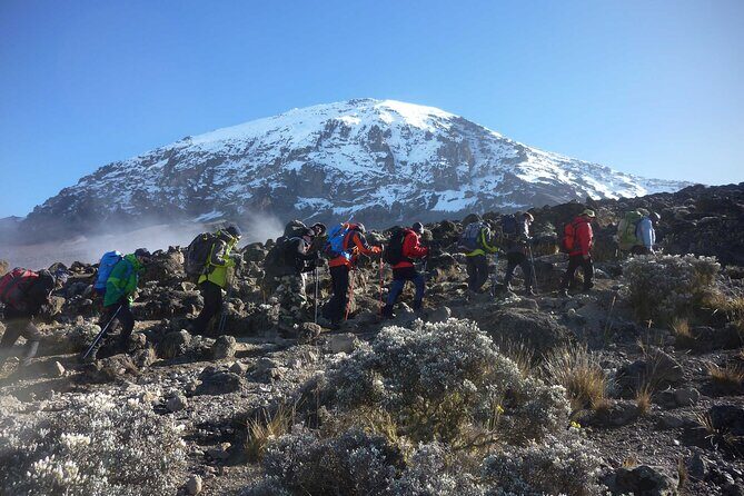 6-Days Kilimanjaro Climbing via Rongai Route - Key Points