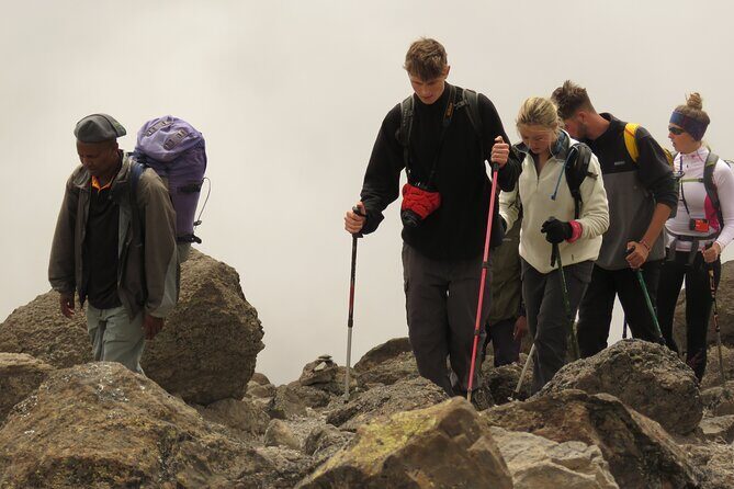 6 Days Kilimanjaro Lemosho route Climbing and Hiking Tour - Key Points
