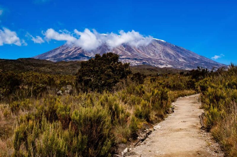 6 Days Kilimanjaro Machame Route - Authentic Insights From Reviewer Feedback
