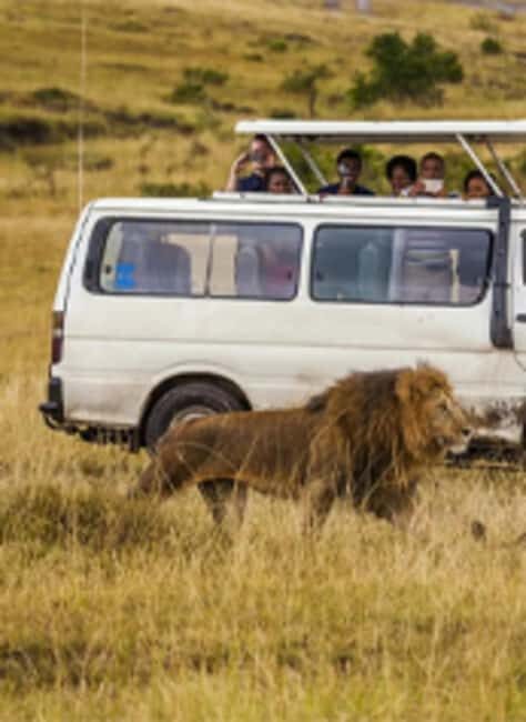 6 Days Lake and Bush Safari - Lake Naivasha and Masai Mara - Key Points